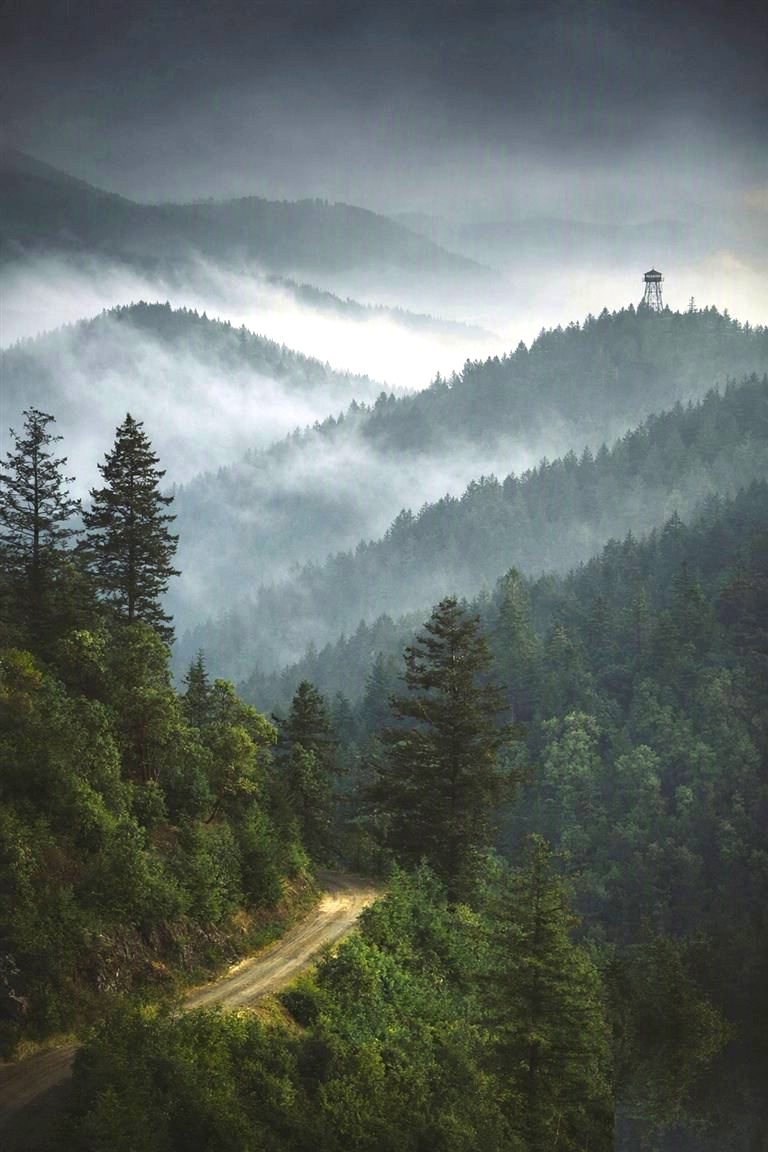 森林山峦与防火瞭望